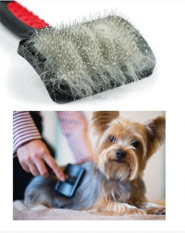 Hundebürste Mittel für langhaarige Hunde Reinigung des Fellhaars