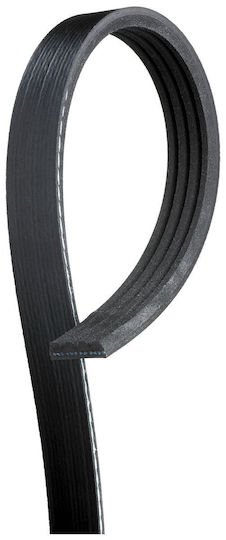 Gates Curea pentru Motoare Auto pentru Nissan Almera Hyundai Accent 4PK845