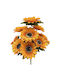 Buchet de Heliotropium HOMie