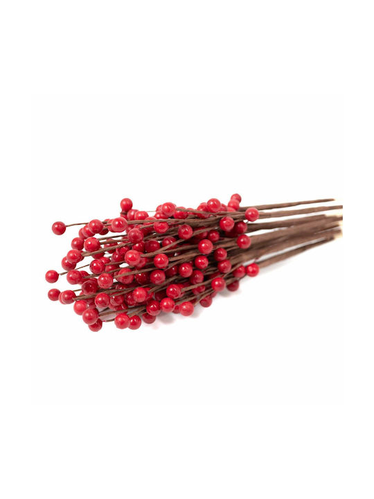 Getrocknete Blumen Rote Beeren Stiele Höhe 50-60 cm