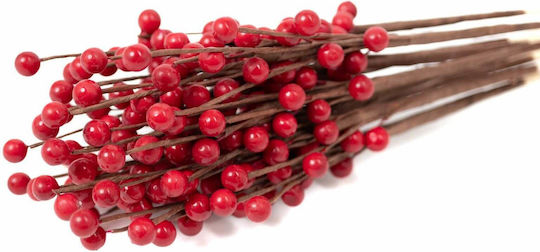 Getrocknete Blumen Rote Beeren Stiele Höhe 50-60 cm Getrocknete Blumen Rote Beeren Stiele Höhe 50-60 cm