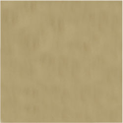 Raki Einweg-Tischdecken Ecru 100x100cm 1 Stück Raki Einweg-Tischdecken Ecru 100x100cm 1 Stück
