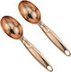 Raki Ice Cream Scoop from Stainless Steel 17cm