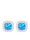 Xryseio Silver Earrings with Stones