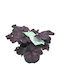 Heuchera Indian Summer Mov 12cm