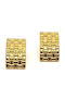 Legola Gold Plated Steel Stud Earrings Grey