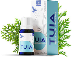 Thuja Essential Oil 10ml Thuja Essential Oil 10ml