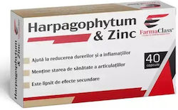 Harpagophytum Zinc 40 Capsules Farmaclass