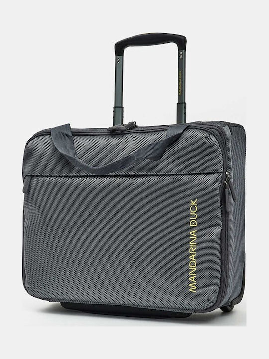 Mandarina Duck