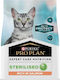 Pro Plan Dry Food for Neutered Cats with Salmon 1.5kg