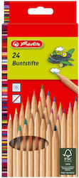 Herlitz Buntstifte 24er Pack Natürliche FSC Holz Hexagonale Form