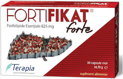 Terapia Fortifikat Forte 825mg 30 Capsule Moi Terapia Fortifikat Forte 825mg 30 Capsule Moi