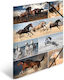 Herma Sammelmappe A3 Pferde Pappe