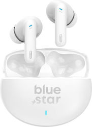 Blue Star TX5 Blue Star TX5