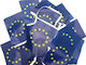 European Union Flag