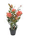 Plastic Potted Orange Rose 50cm 37021-50 Code 16378