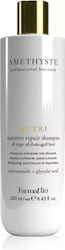 Farmavita Amethyste Nutri Strengthening Shampoo Damaged Hair Capacity Ml 250