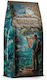 Blue Orca Coffee Coffee Espresso Arabica Chocolate Beans 1kg