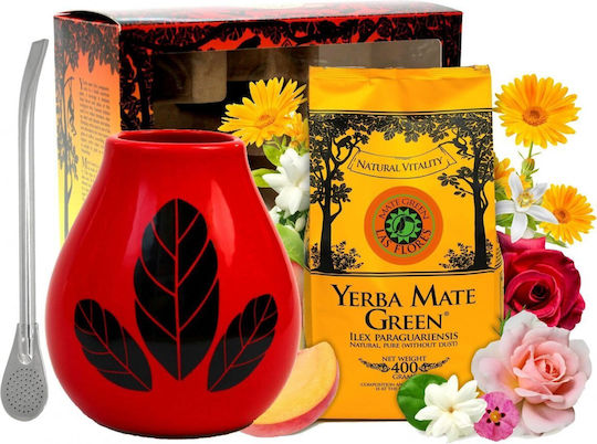 Yerba Mate Green Tea 19 Bags 400gr