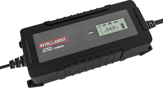 Minwa MW-LB100 Pro Car Battery Charger 12/24V