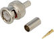 BNC Male Plug Te Crimp