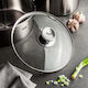 Fissler Capac Pentru Oală Din Sticlă 22cm 001-104-22-200/0