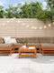 Garten- und Outdoor-Möbelsets 7 Stück mit Kissen