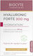 Biocyte 300mg Supplement for Joint & Bone Health 30 Vegetable Capsules