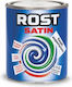 Vopsea Alchidică Lemn Metal Rugină Satin Interior Exterior 0,6l Galben Z-tools Ext10049