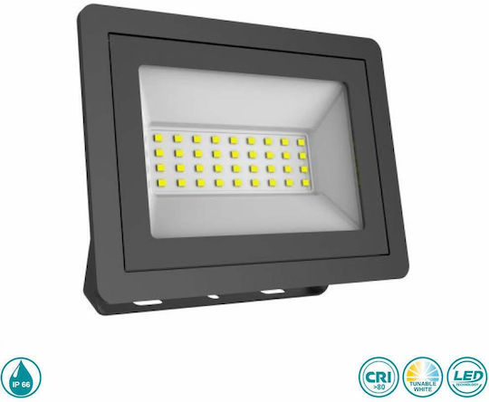 Spot Light Στεγανός Προβολέας LED 30W Ρυθμιζόμενο Λευκό IP66