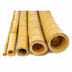 Showood Bamboo Reed for Garden Fence 3x3cm