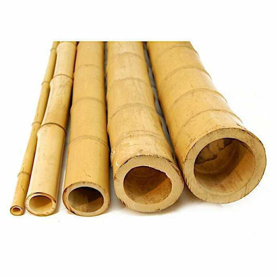 Showood Bamboo Reed for Garden Fence 3x3cm