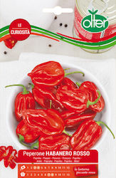 Olter Spicy Pepper Seeds