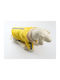 Animal Dog Coat Waterproof Hooded Yellow With Back Length 46 cm