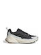 adidas Terrex Trailmaker 2 Men's Hiking Shoes Beige
