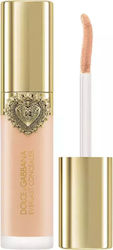 Everlast Liquid Concealer 10 Light Medium 11ml