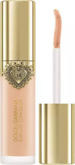 Everlast Concealer Lichid 10 Light Medium 11ml