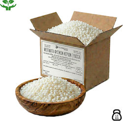 Yucca Candle 15kg