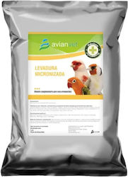 Avianvet Levadura Micronizada – Μαγιά Μπύρας Πτηνά – 500g Avianvet Levadura Micronizada – Μαγιά Μπύρας Πτηνά – 500g