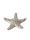 Starfish Διακοσμητικός Νίκελ Αστερίας 13,5 Εκ Ασημί