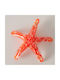 Starfish Διακοσμητικός Γυάλινος Αστερίας 11 Εκ Πορτοκαλί