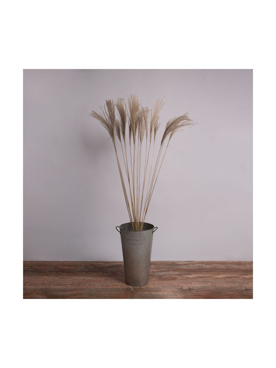 Globostar Miscanthus 36539 Dried Miscanthus Plant Bouquet of Decorative Beige Branches H140cm Set of 10 Pieces