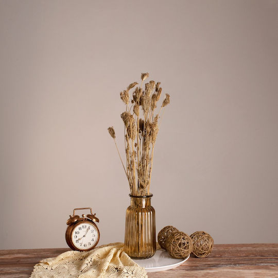 Globostar Wildcarrot 36546 Dried Wild Carrot Plant Bouquet of Decorative Beige Branches H60cm Set of 10 Pieces