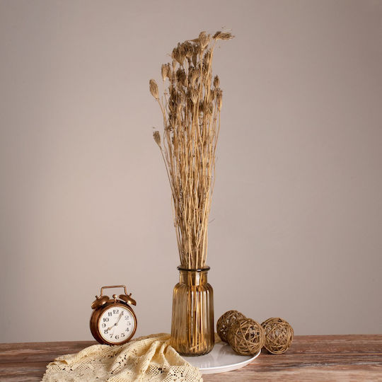 Globostar Wildcarrot 36547 Dried Wild Carrot Plant Bouquet of Decorative Beige Branches H80cm Set of 10 Pieces