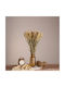 Globostar Pennisetum 36503 Dried Pennisetum Plant Bouquet of Decorative Branches Beige Green Height 60cm Set of 100 Pieces