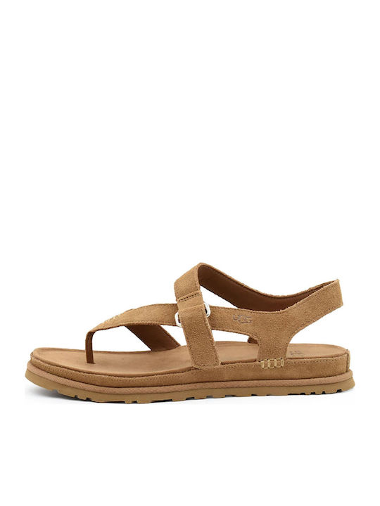 UGG Γυναικεία Σανδάλια Καφέ