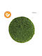 Ball Buxus Lemon Cypress Φ38cm 2/box