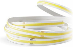 Spot Light Лента LED 24V 10m Тип COB