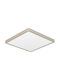 Eglo Fueva Mount Ceiling Light