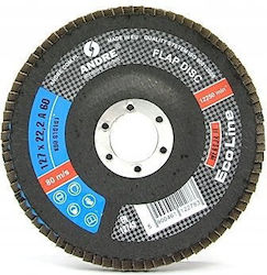 Andre Disc De Șlefuire Flap 125mm P60 Eco Line ...